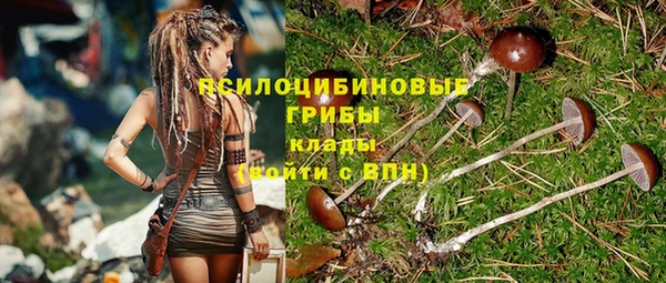 эйфоретик Вязники