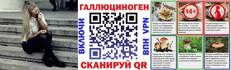 купить наркотики цена  Усть-Джегута  Галлюциногенные грибы GOLDEN TEACHER 