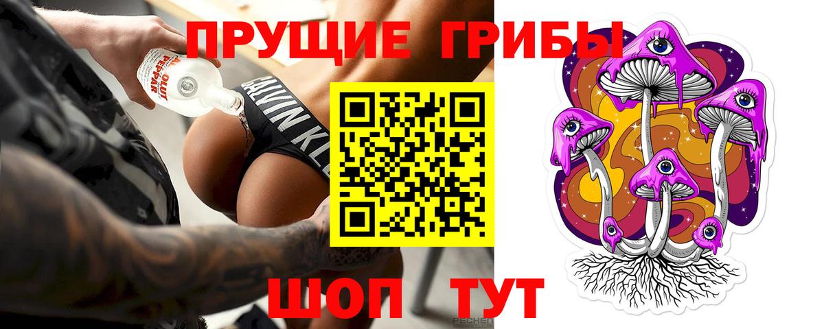 Галлюциногенные грибы Psilocybe  Вход с VPN  Усть-Джегута 