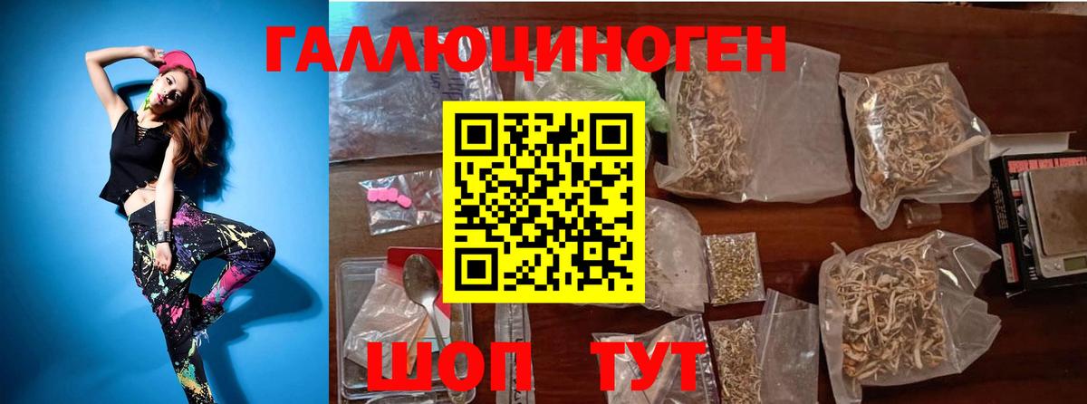 Псилоцибиновые грибы Psilocybe Усть-Джегута